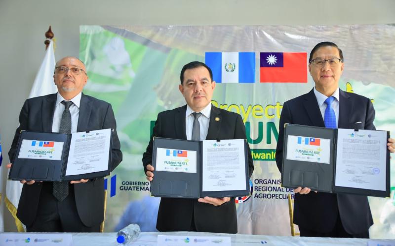 Guatemala recibe primer desembolso del proyecto regional para la prevención del Fusarium 