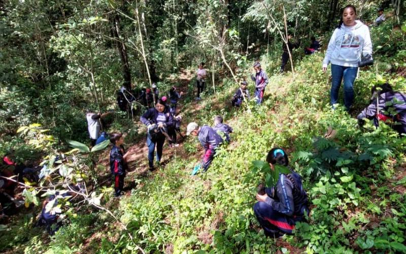 Reforestación en San Pedro Sacatepéquez, San Marcos involucra a estudiantes