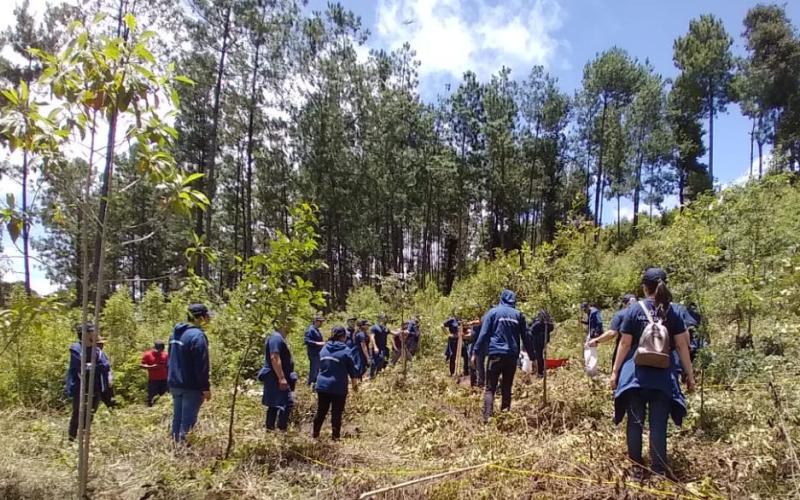 MARN y voluntarios reforestan el astillero municipal de Santa Apolonia, Chimaltenango
