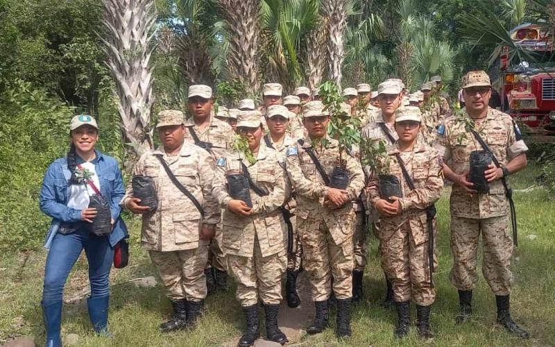 Reforestación con mangle contribuye a proteger la biodiversidad de Manchón Guamuchal 
