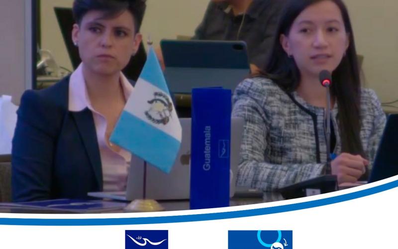 Mesa Temática 2: V congreso regional sobre mujeres en los contextos de la migración