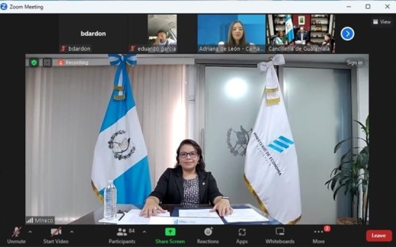La ministra de Economía, Luz Pérez, durante su participación en el evento virtual.