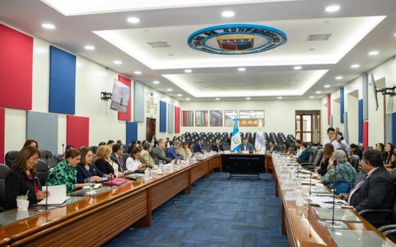 Subsecretaria Presidencial de la Mujer, Mónica Iglesias, participó en la Sesión Ordinaria del Consejo Nacional de Seguridad Alimentaria y Nutricional CONASAN.