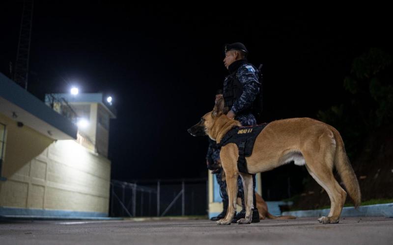 Binomios K-9 apoyan estrategias de seguridad