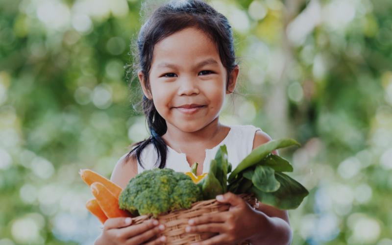 MINFIN cumple con traslado de recursos para Seguridad Alimentaria y Nutricional