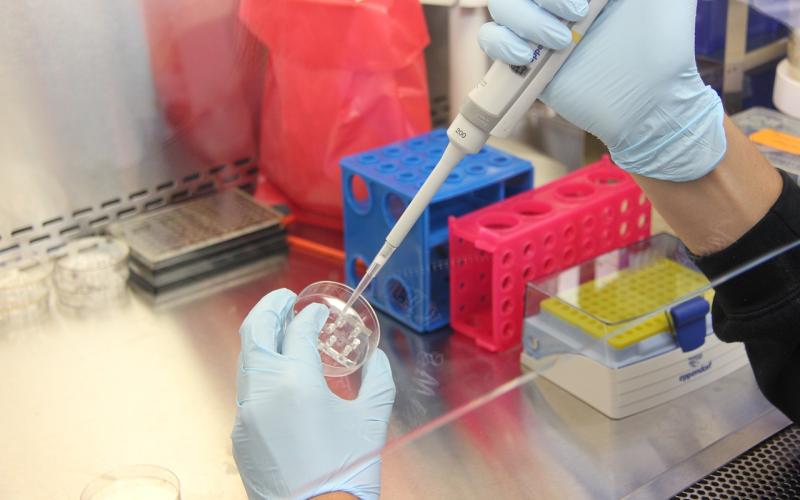 experimiento en laboratorio
