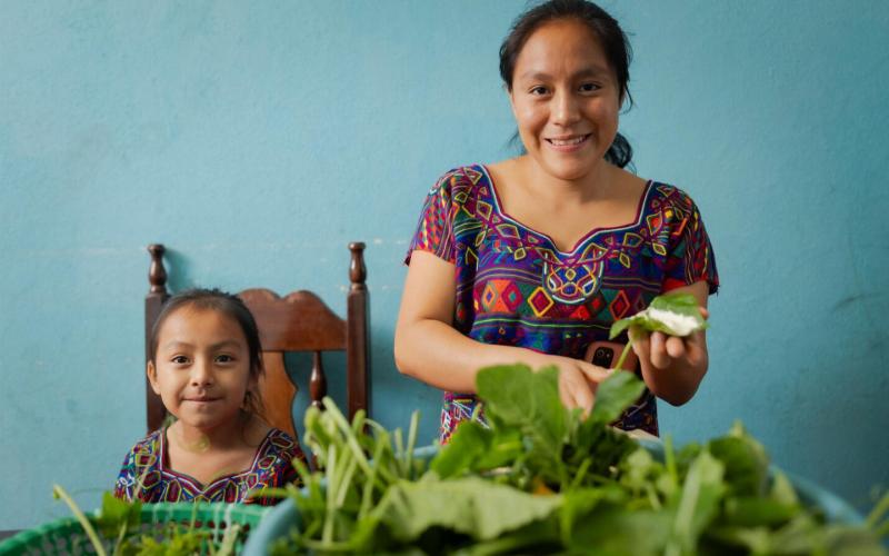 Gran Cruzada por la Nutrición será evaluada