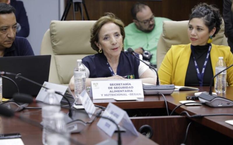 SESAN atiende citación en el Congreso para informar acciones que se ejecutarán en Quiché