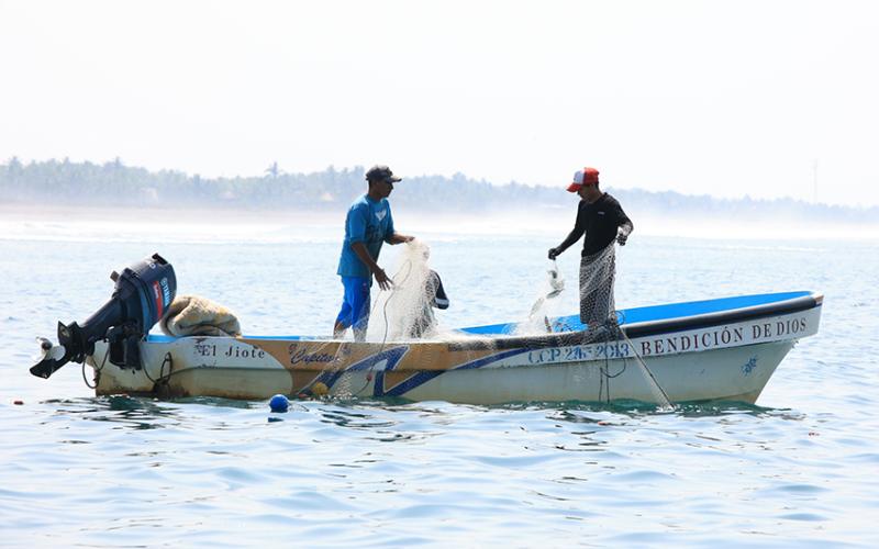 Establecen periodos de veda para el Caribe guatemalteco
