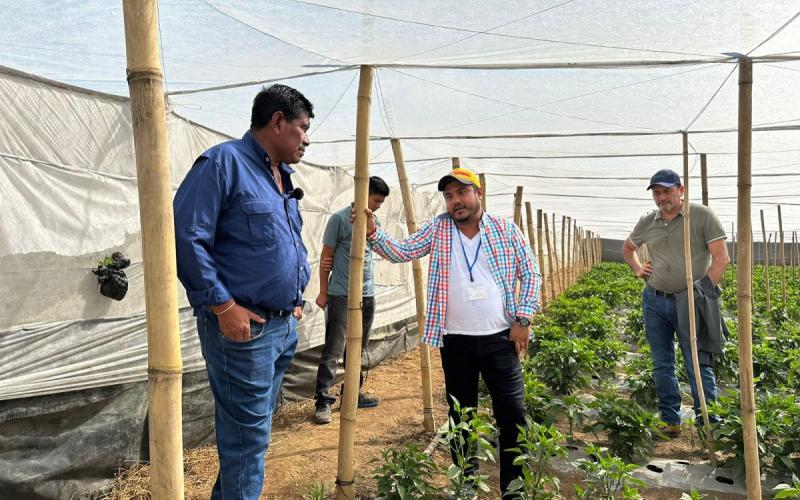 MAGA promueve nuevos mercados para pequeños productores agrícolas