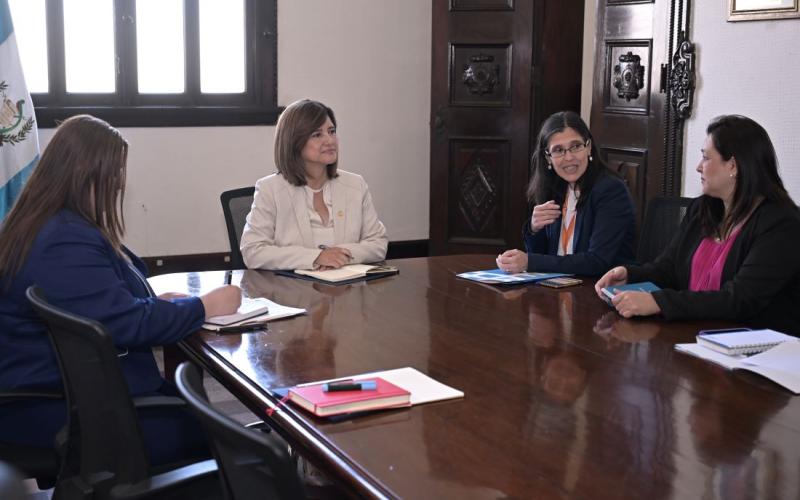 Presidenta en funciones Karin Herrera 