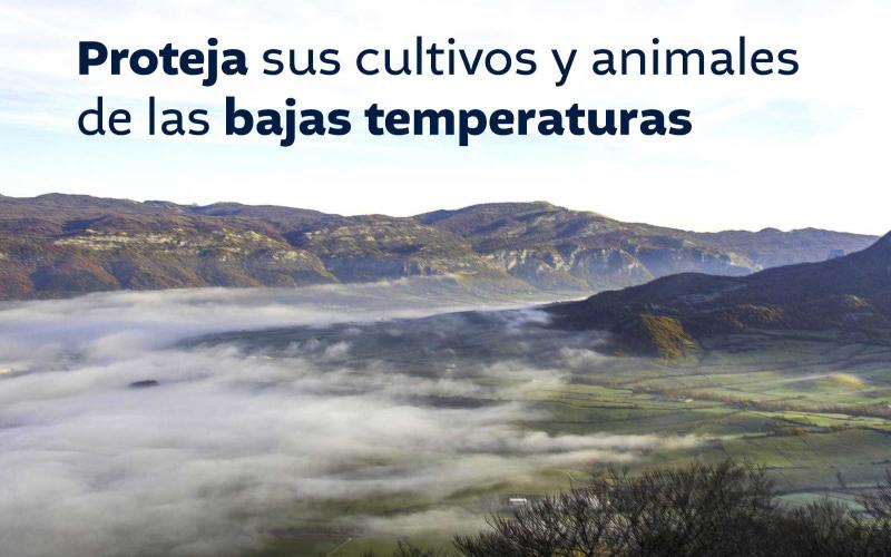 Proteja sus cultivos y animales de las bajas temperaturas
