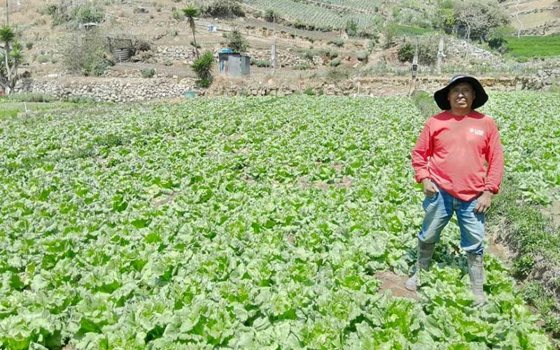 Agricultores de Almolonga, Chimaltenango, reciben insumos para establecer parcelas de aprendizaje