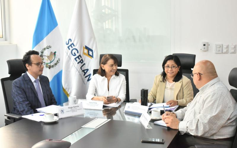 Reunión de trabajo virtual en la que participaron los cuatro subsecretarios de SEGEPLAN.