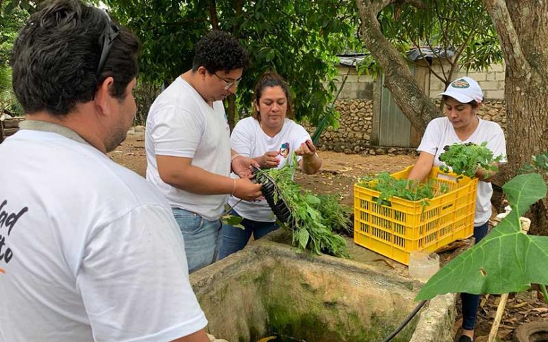 Huertos familiares mejoran alimentación de familias de Petén
