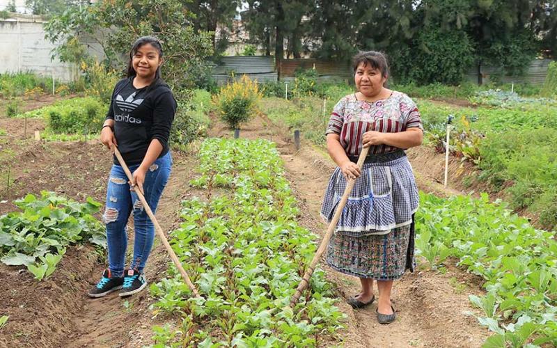 Los huertos son claves para el sustento familiar 