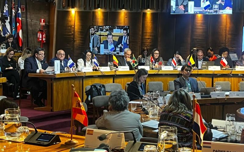 Disertación de secretario Carlos Mendoza en foro de CEPAL.