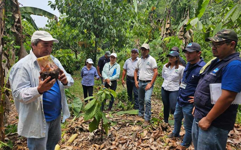 Capacitación sobre manejo de cultivos de banano y plátano fortalece la agricultura en Suchitepéquez