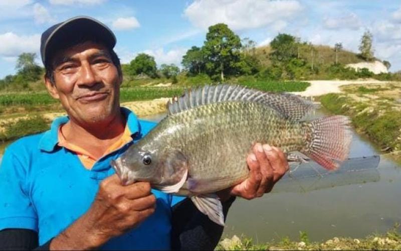 Impulsan crecimiento de la acuicultura en Petén
