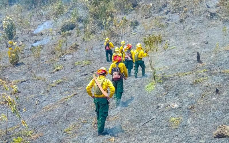 Monitorean y combaten 12 incendios forestales en Petén