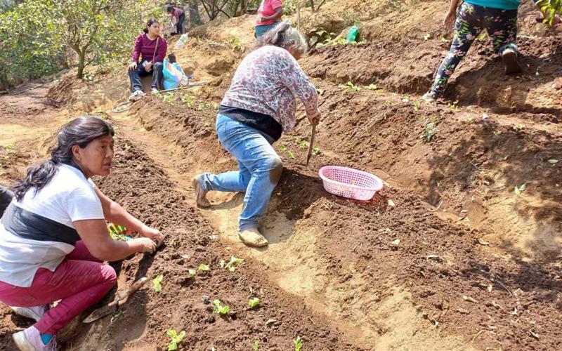Mujeres de Sacatepéquez se capacitan en técnicas de trasplante de hortalizas