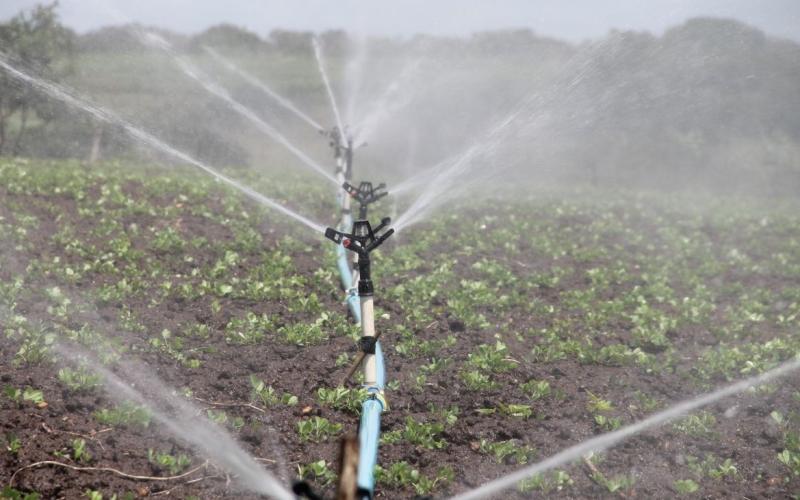 Conoce las ventajas de los diferentes tipos de riego en la agricultura