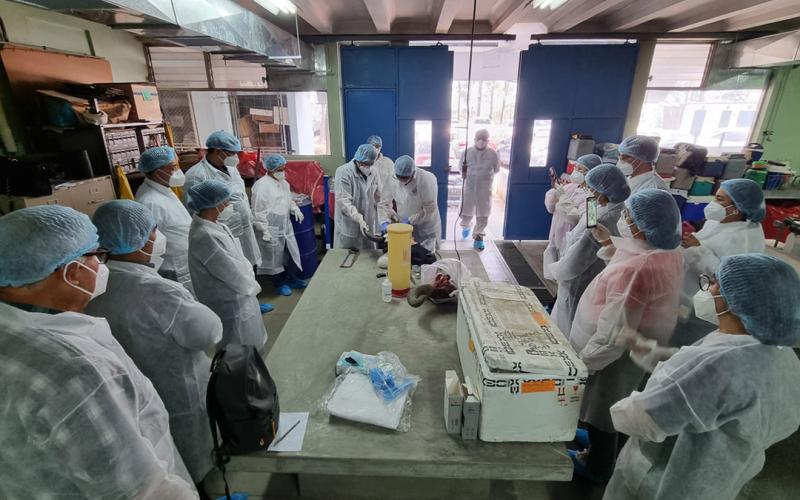 Desarrollan taller para detección de rabia bovina