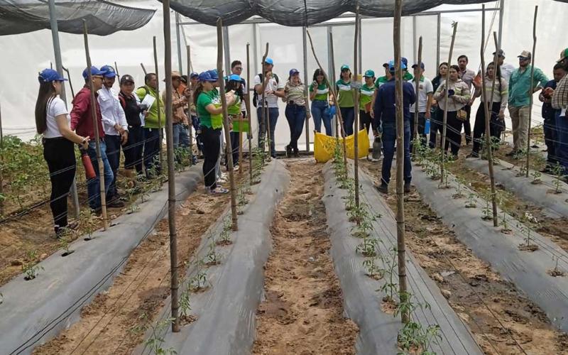 Innovación hortícola llega a Estanzuela, Zacapa