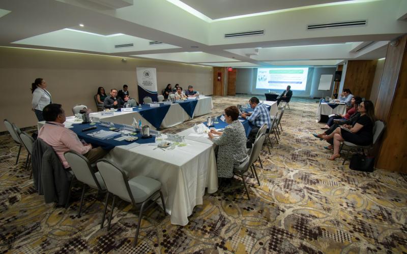 Primera reunión ordinaria de la comisión de trabajo del Conadur. 