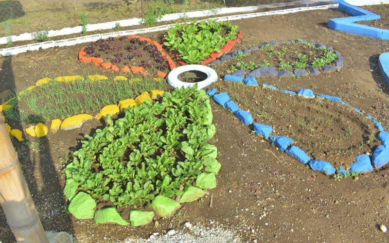 Los Huertos Escolares claves para la agricultura familiar