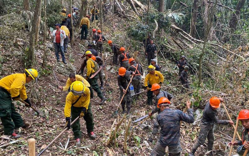 Mantienen acciones para prevenir incendios forestales en Petén