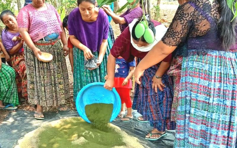 Promueven elaboración de concentrados artesanales en Petén