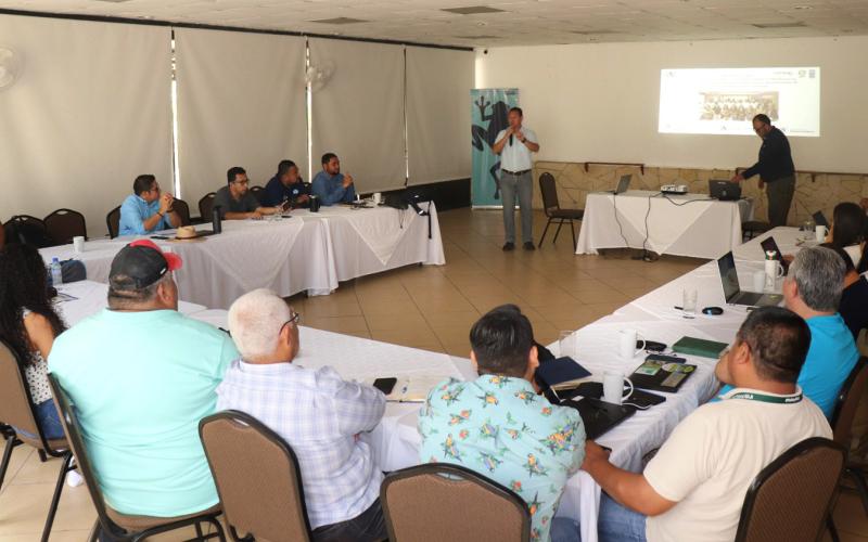 Promueven prácticas de ganadería sostenible en Petén