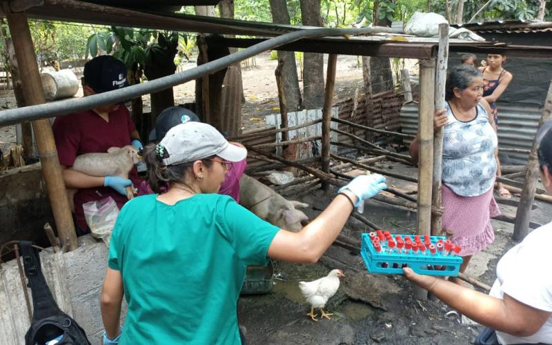 Veterinarios realizan jornada de salud animal en Escuintla