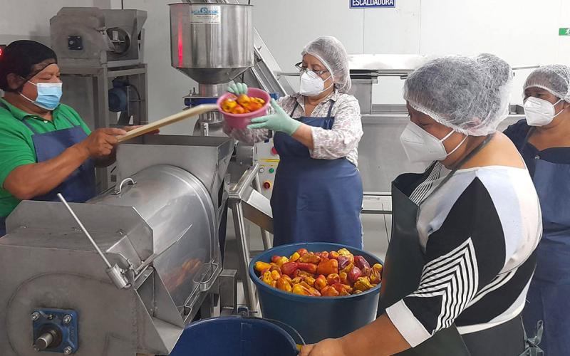 Jocote de marañón: base del emprendimiento para mujeres de San Juan Alotenango, Sacatepéquez
