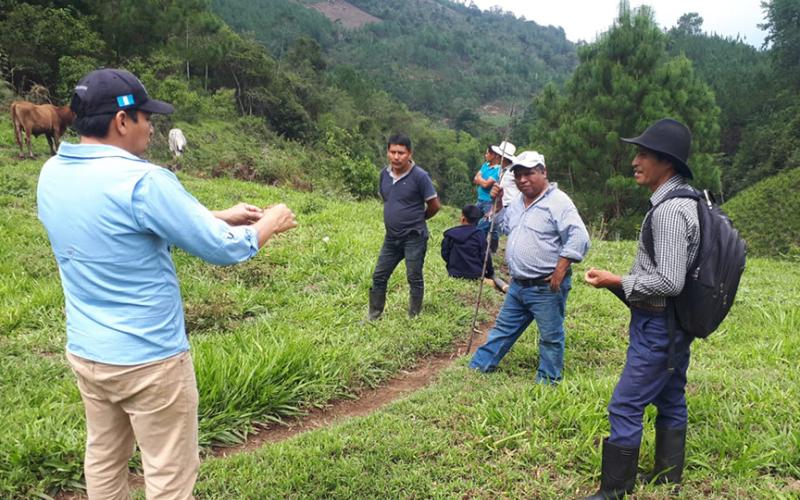 Brindan capacitación e insumos a ganaderos de Alta Verapaz