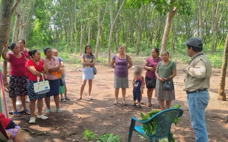 Promueven bancos de semilla y huertos pedagógicos en Suchitepéquez