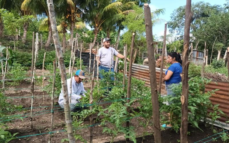 Continúa la entrega de pilones e instalación de parcelas demostrativas en Petén