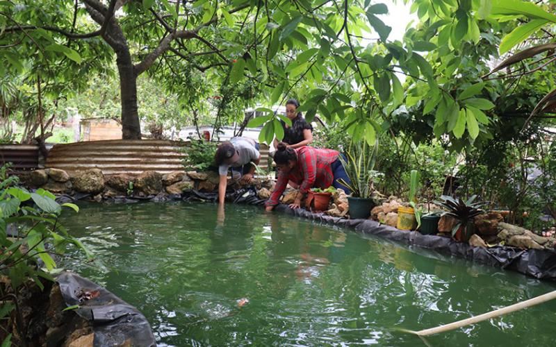 De una pila a ocho estanques de tilapia