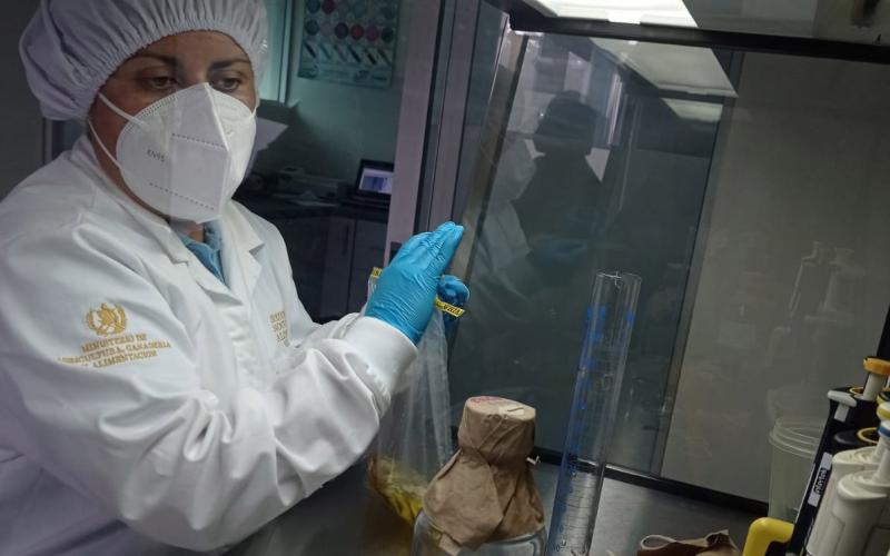 Laboratorio de Inocuidad garantiza calidad de los alimentos