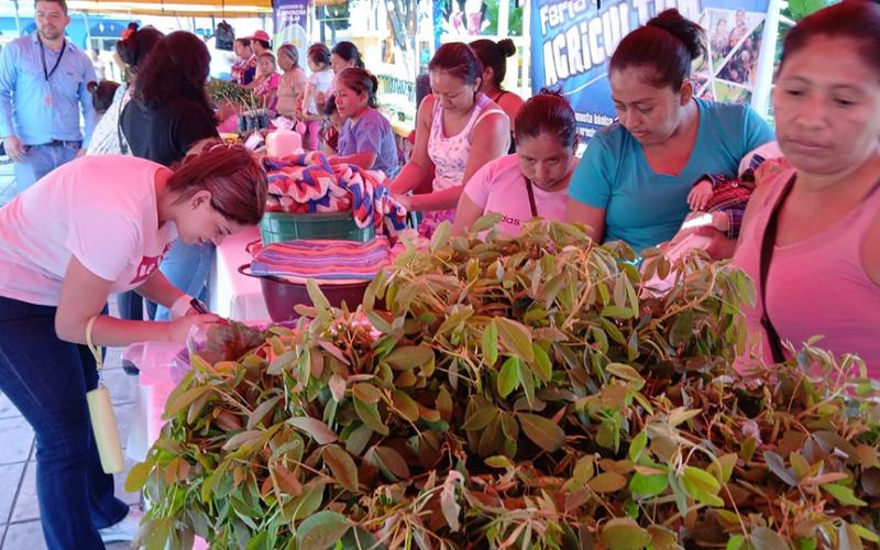 Patulul celebra Feria del Agricultor