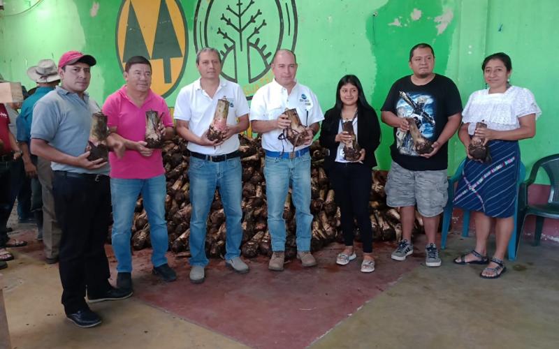 Promueven la diversificación de cultivos en Palín, Escuintla