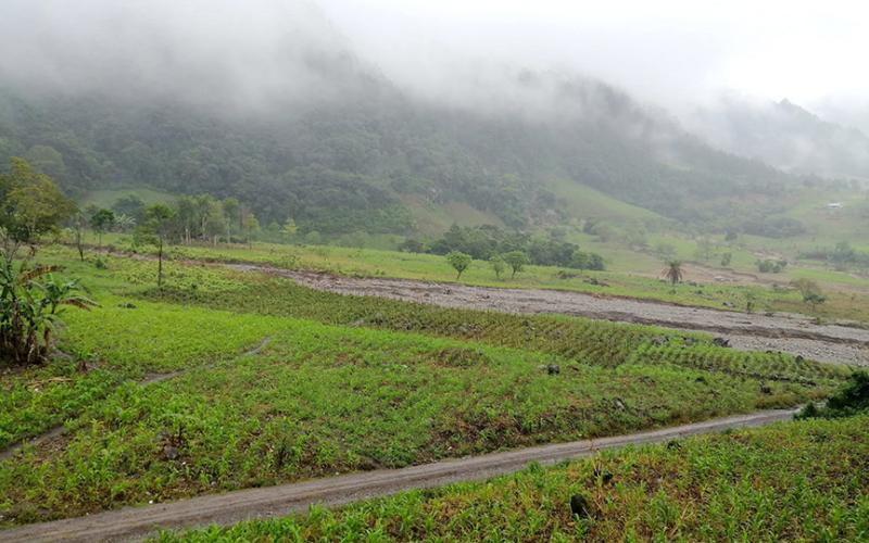 Recomendaciones para el sector agropecuario ante las lluvias