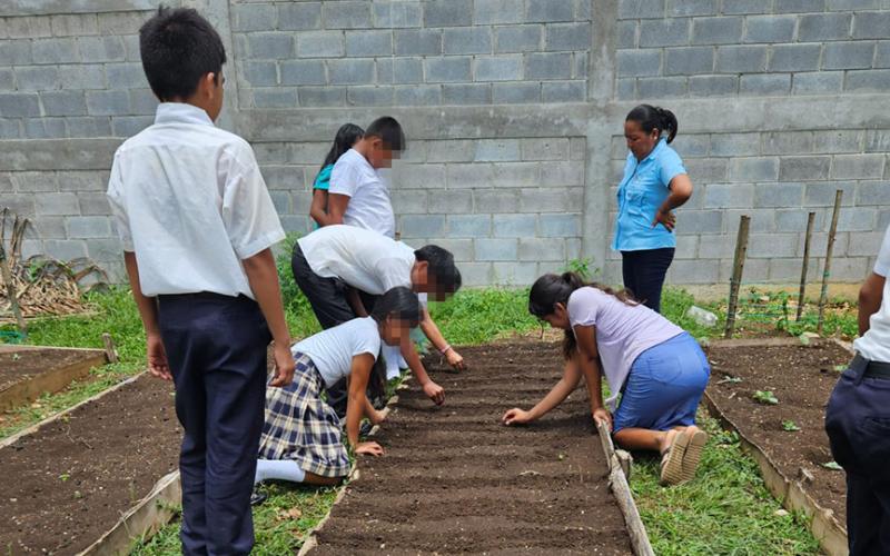 Brindan asistencia técnica para huertos escolares en San Francisco, Petén