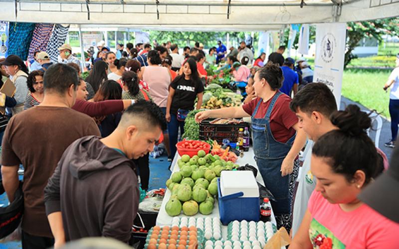 Ferias del Agricultor generan ventas por más de un 1.6 millones de quetzales