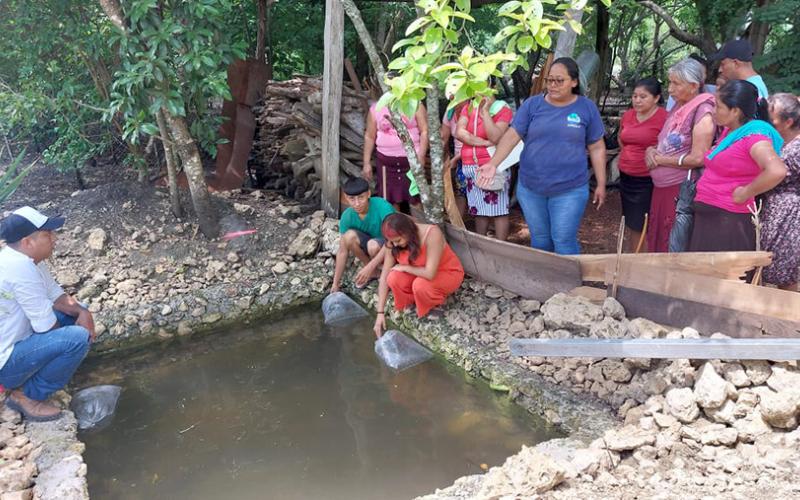 Fortalecen crianza de tilapia San Andrés, Petén