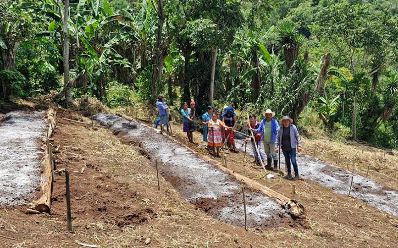 Preparan terrenos para establecer huertos comunales en Olopa