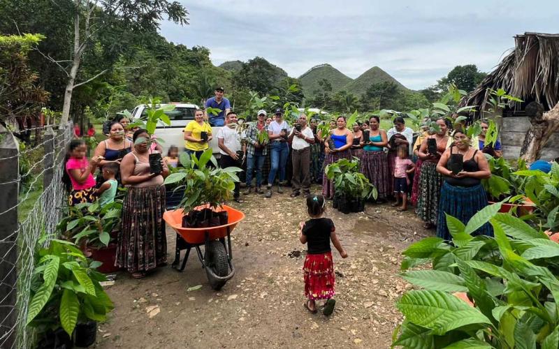 Se entregaron 700 plántulas de Cacao en Poptún
