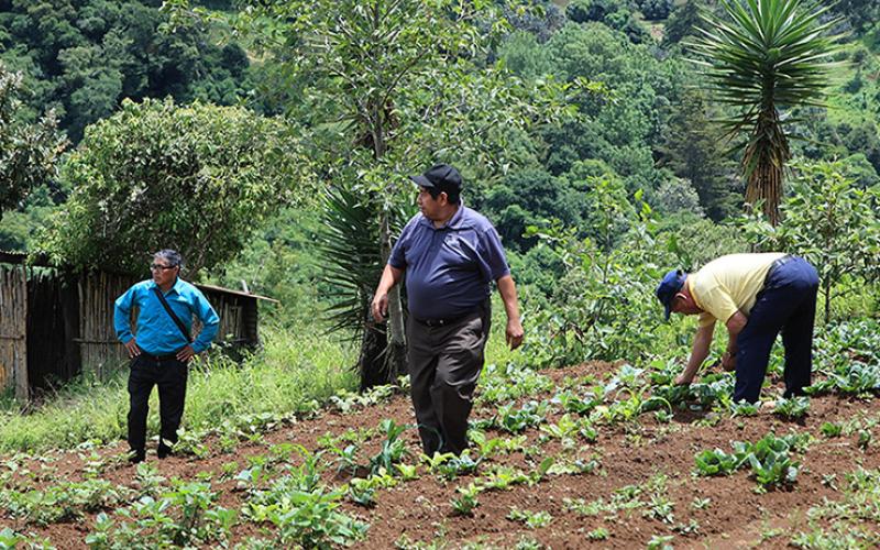 Visita de seguimiento a biofábrica de Santiago Sacatepéquez