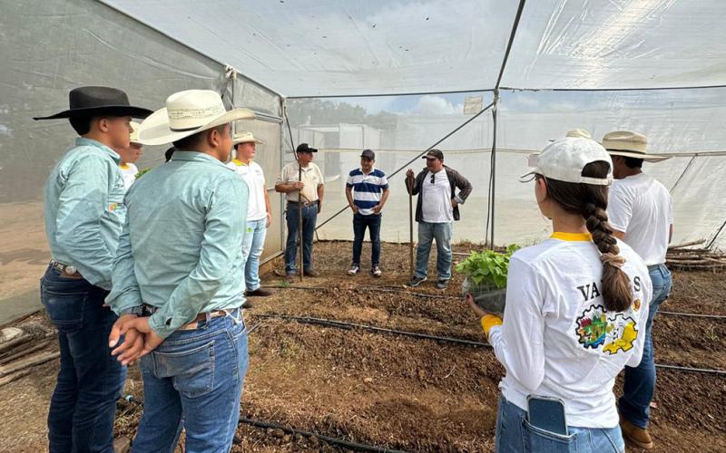 Implementan Huerto Escolar en Zacapa
